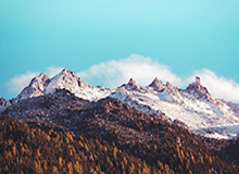 开云体育在线官网-CBA-约翰逊17+10程帅澎12分 浙江主场击败北京