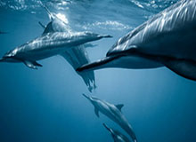 开云体育在线下载-塔克33+6桑普森17分 广厦38分大胜江苏迎7连胜